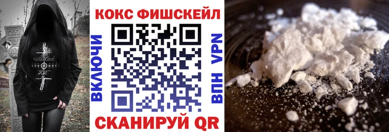 купить  сайты  Печора  Cocaine Fish Scale 