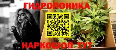 мдпв Шебекино