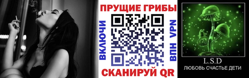 Псилоцибиновые грибы Psilocybe  дарнет шоп  Печора 