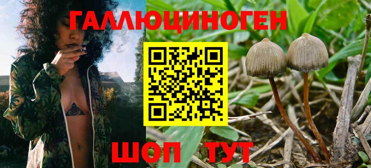 Печора  Галлюциногенные грибы прущие грибы  Вход с VPN 