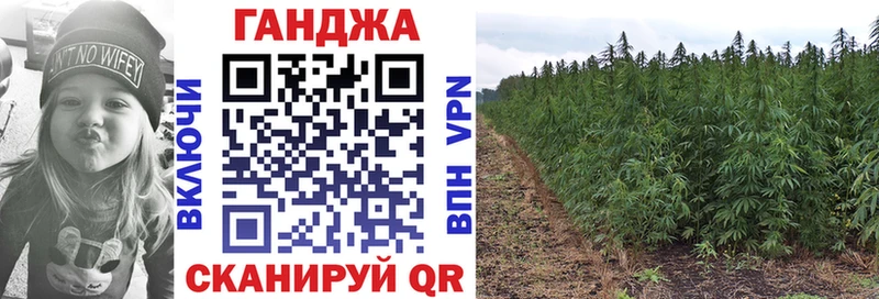 где можно купить   Печора  ОМГ ОМГ маркетплейс  Канабис план 